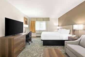 Standard Room, 1 King Bed, Non Smoking, Refrigerator & Microwave
