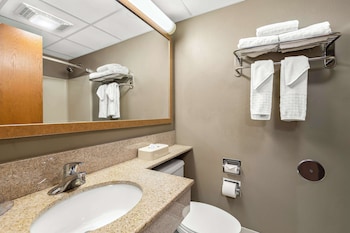 Standard Room, 1 King Bed, Non Smoking, Refrigerator & Microwave