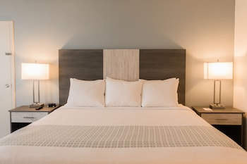 Signature Room, 1 King Bed