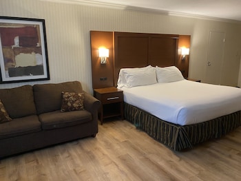 Room, 1 King Bed with Sofa bed, Non Smoking