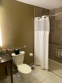Room, 1 King Bed, Non Smoking (Mobility Access)