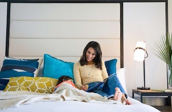 Room, 1 King Bed, Accessible
