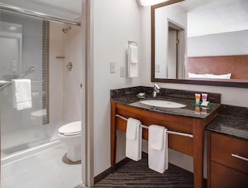Room, 1 King Bed with Sofa bed (High Floor)