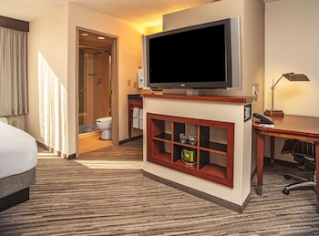 Room, 1 King Bed with Sofa bed (High Floor)