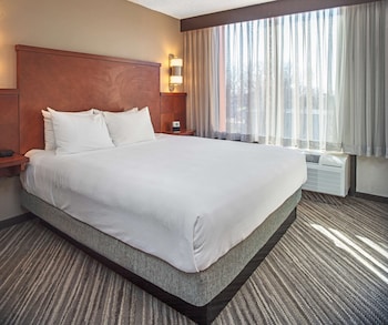 Room, 1 King Bed with Sofa bed (High Floor)