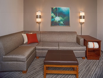 Room, 1 King Bed with Sofa bed (High Floor)