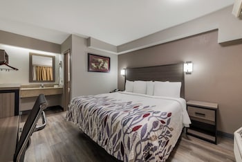Standard Room, 1 King Bed, Non Smoking