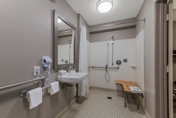 Deluxe Room, 1 King Bed, Accessible, Non Smoking (Roll-In Shower)