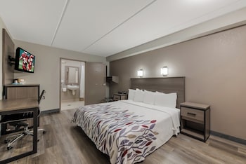 Deluxe Room, 1 King Bed, Accessible, Non Smoking (Roll-In Shower)