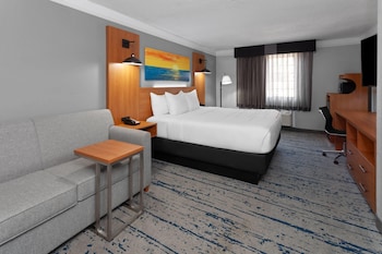 Room, 1 King Bed, Non Smoking