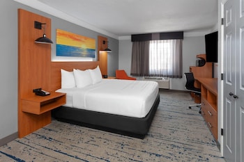 Room, 1 King Bed, Non Smoking