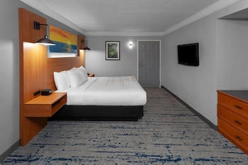 Room, 1 King Bed, Accessible, Non Smoking (Mobility Accessible)