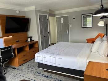 Room, 1 King Bed, Non Smoking