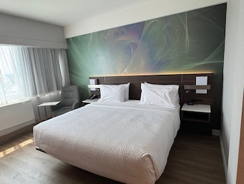 Suite, 1 Bedroom