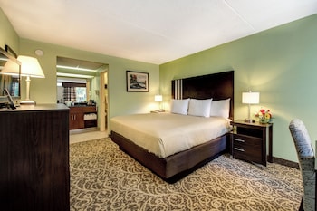 Standard Room, 1 King Bed (Exterior)