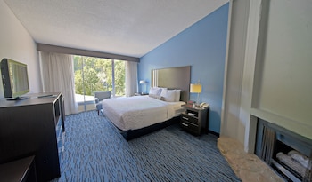 Standard Room, 1 King Bed, Fireplace