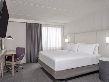 Standard Room, 1 King Bed, Roll-in Shower (Mobility Accessible)