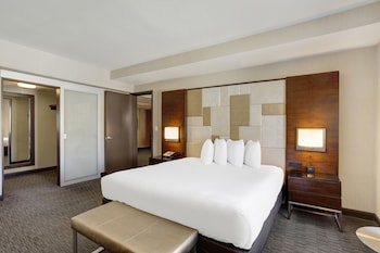 1 King Bed 1 Bedroom Suite
