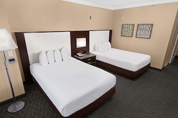 Deluxe 2 Bed Mobility/Hearing Access Roll-in Shower