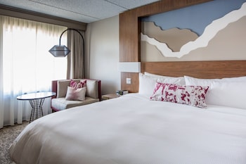 Room, 1 King Bed (Mobility Accessible, Roll-in Shower)