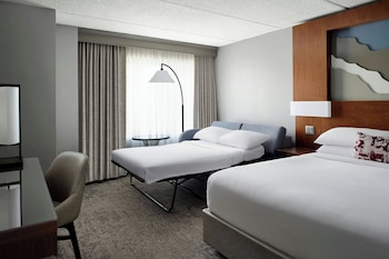 Room, 1 King Bed with Sofa bed