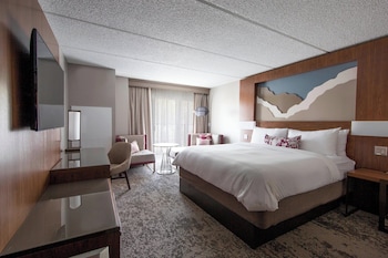 Room, 1 King Bed