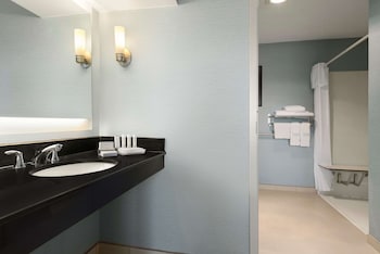 Room, Accessible, Non Smoking (Roll-in Shower)