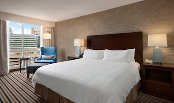 Room, 1 King Bed, Accessible (Roll In)