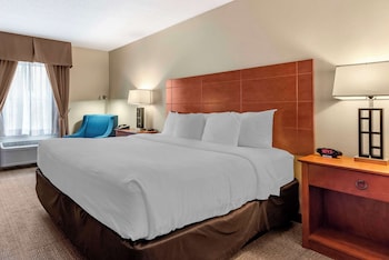 Standard Room, 1 King Bed, Non Smoking