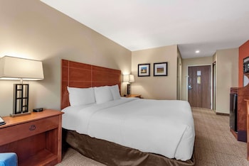 Standard Room, 1 King Bed, Non Smoking