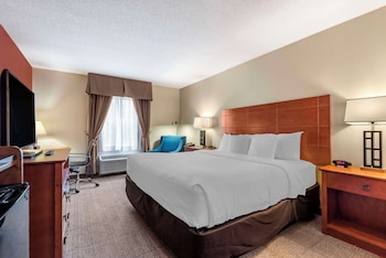 Standard Room, 1 King Bed, Non Smoking