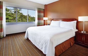 Suite, 1 King Bed, Accessible