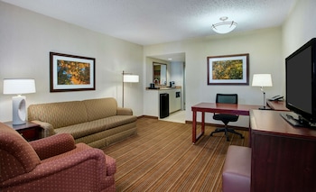 Premium Suite, Non Smoking