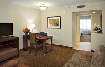 Suite, 1 King Bed