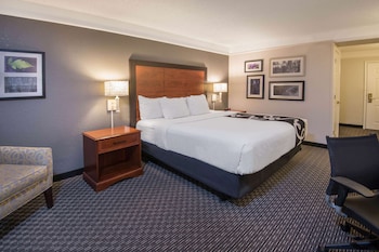 Suite, 1 King Bed, Non Smoking