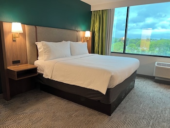 Suite, 1 Bedroom