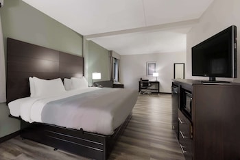 Room, 1 King Bed, Accessible, Non Smoking