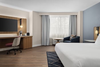 Suite, 1 King Bed (Communication, Transfer Shower)