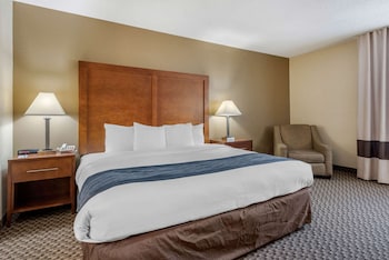 Standard Room, 1 King Bed, Non Smoking