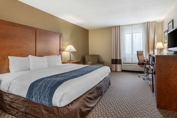 Standard Room, 1 King Bed, Non Smoking