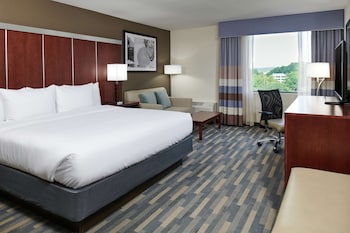 Room, 1 King Bed