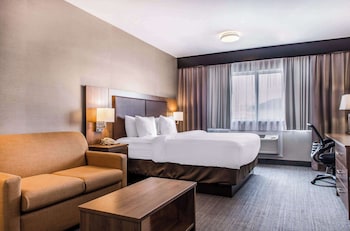 Room, 1 King Bed, Non Smoking