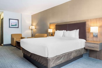 Standard Room, 1 King Bed, Non Smoking