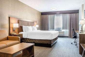 Standard Room, 1 King Bed, Non Smoking