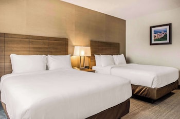 Quadruple Room, 2 Queen Beds