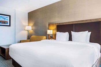 Room, 1 King Bed, Non Smoking