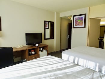 Quadruple Room, 2 Queen Beds