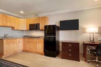 Studio Suite, Multiple Beds, Non Smoking