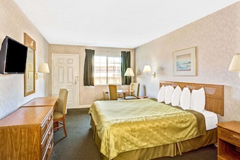 Room, 1 King Bed