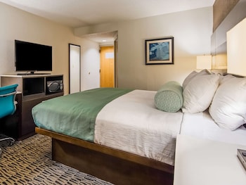 Room, 1 King Bed, Accessible, Non Smoking